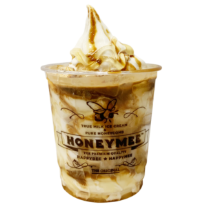 Affordable Ice Cream Franchise